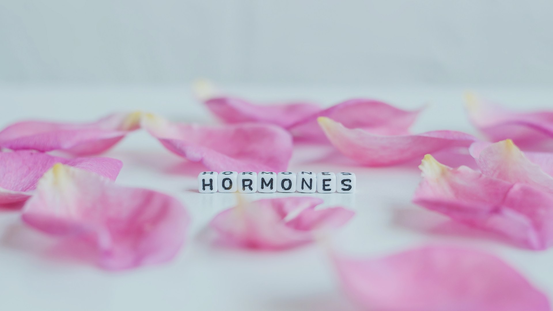 Hormone Support Delray Beach